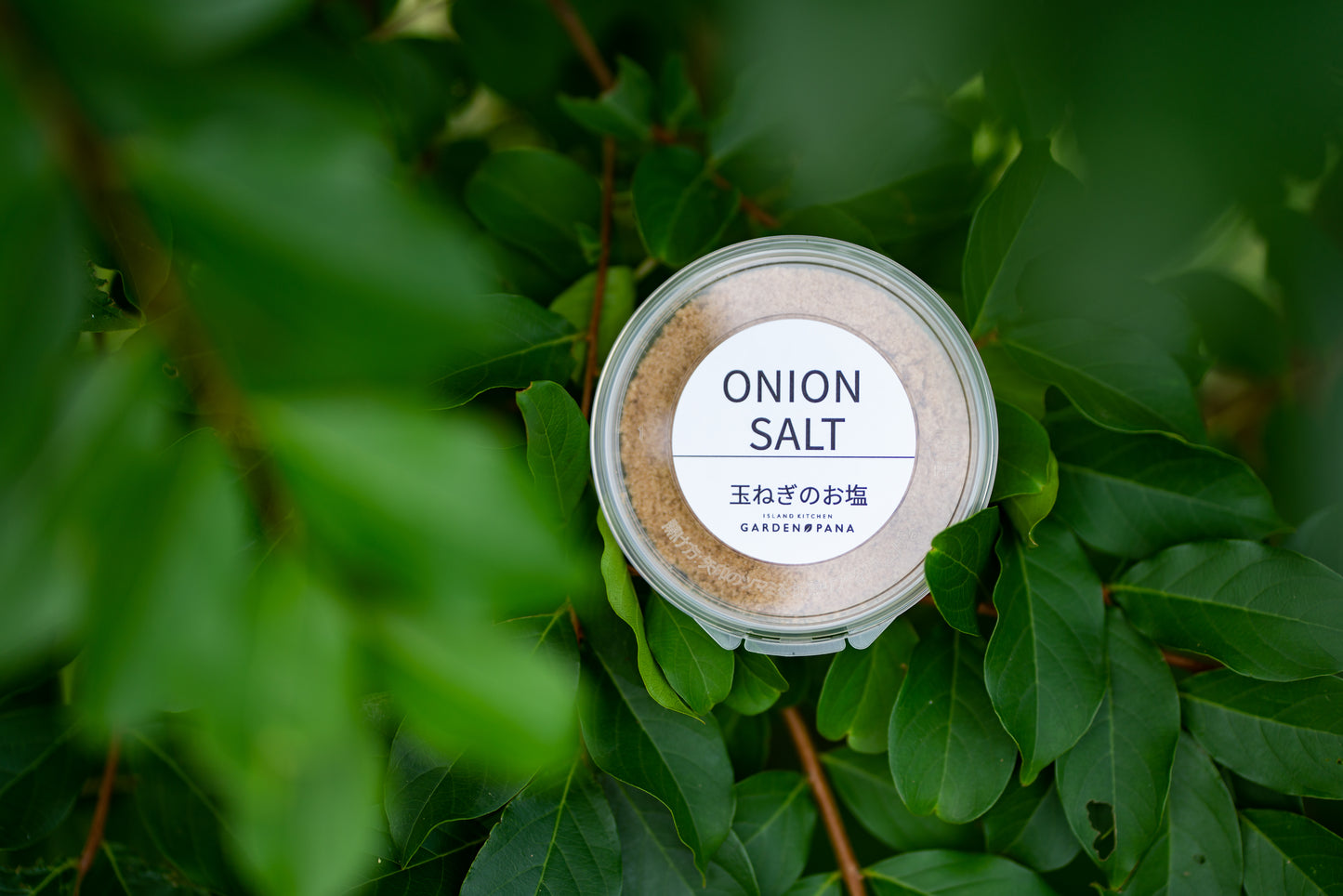 ONION SALT 玉ねぎのお塩